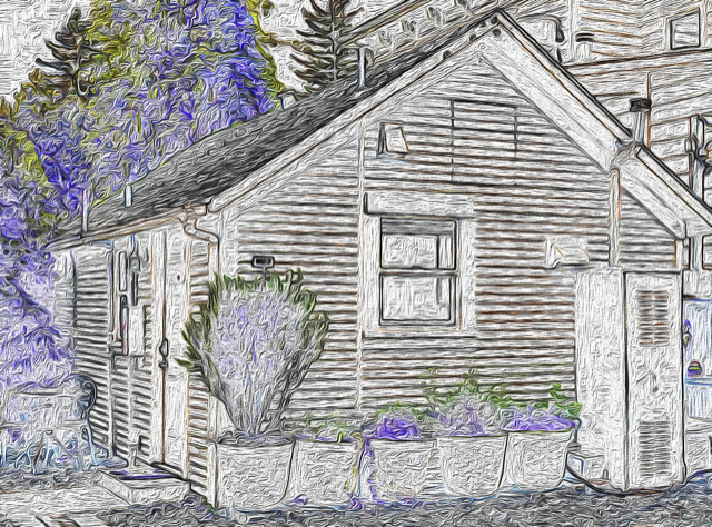 A. small cottage in Santa Rosa California available inexpensively on AIRBNB